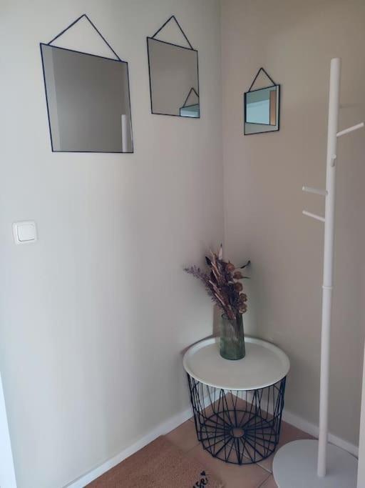 Gemuetliches Ferienapartment Mit Optionaler E-Ladesaeule Eichenzell Esterno foto